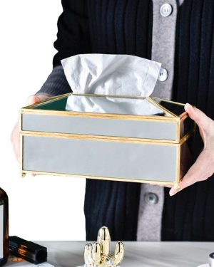 Mirror Tissue Box