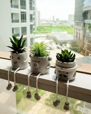 Evergreen Artificial Succulent Pot