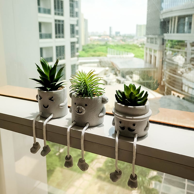 Evergreen Artificial Succulent Pot