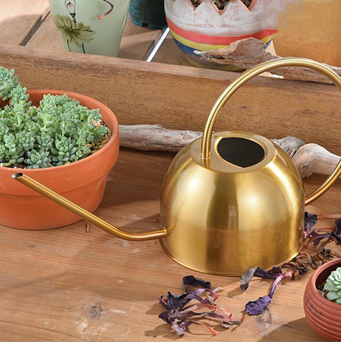 Zeuss 1.5L Watering Can