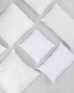Insert Cushion Pillow